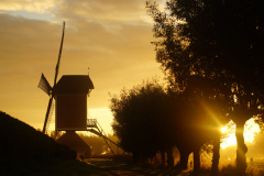 Brabantsdorp-van-zonsopkomst-tot-zonsondergang-1