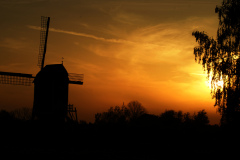 DSC01486-1