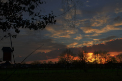 DSC09398-1