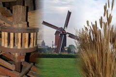 Standerdmolen-De-Zeldenrust-49